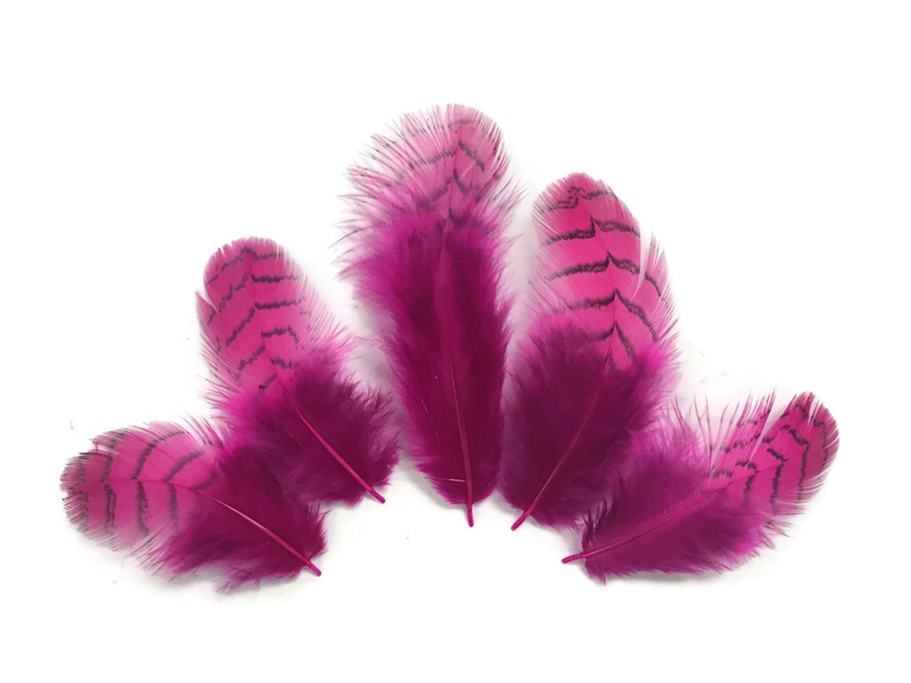 10 Pieces - Hot Pink Dyed Gray Partridge Small Plumage Feathers